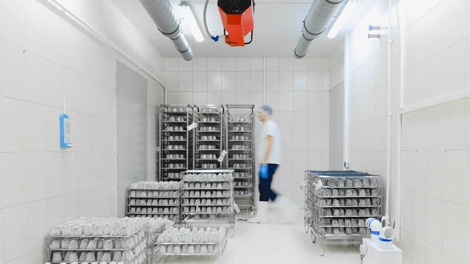 How to Choose the Right Size Cold Room for Your Irish Business (2026 Guide)
