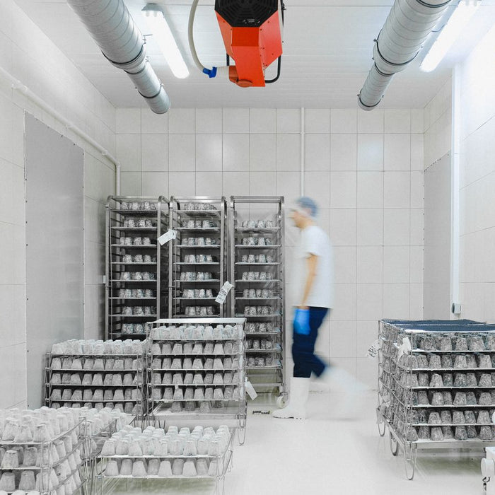 How to Choose the Right Size Cold Room for Your Irish Business (2026 Guide)