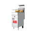 Banks GF30 Gas Twin Basket Fryer LPG