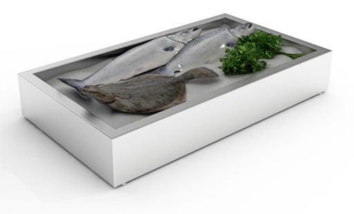 Stainless steel crushed ice bin, shallow rectangular design for counter service view 2