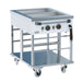 Stainless steel electric bain-marie trolley with two 1/1 GN pan capacity