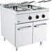 Stainless steel freestanding electric fryer with dual fry tanks and basket storage beneath.