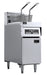 Stainless steel freestanding electric fryer with two 12.5 litre baskets and digital temperature display.