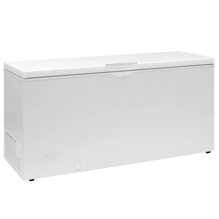 Tefcold Chest Cooler EBC61 48255