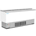 Infrico EFP2000WH beer dump bottle cooler